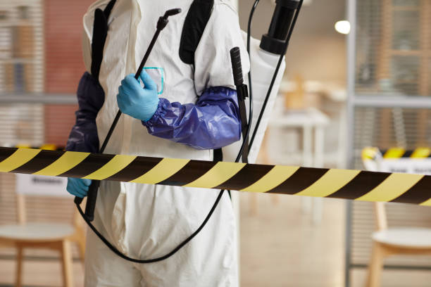 Professional Sewage Cleanup technician working in Pleasant Shade, TN